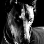 Profile Picture of jacqueline (@jacquelinesaderi) on Instagram