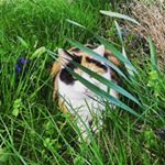 Profile Picture of julia piorkowski (@jumina_12) on Instagram