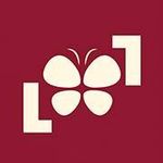 Profile Picture of Samara Happel (@estudiolillyhappel) on Instagram