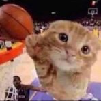 Profile Picture of Aaron Raposo (@Aaron-Raposo) on Facebook