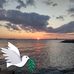 Profile Picture of Gregory Isabelle (@gregory.isabelle.5) on Facebook