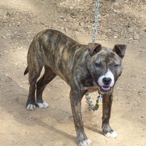 Profile Picture of Barney Harris (@brotherstrucking) on Myspace