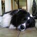 Profile Picture of Eric Heidelberg (@efheidelberg4) on Pinterest