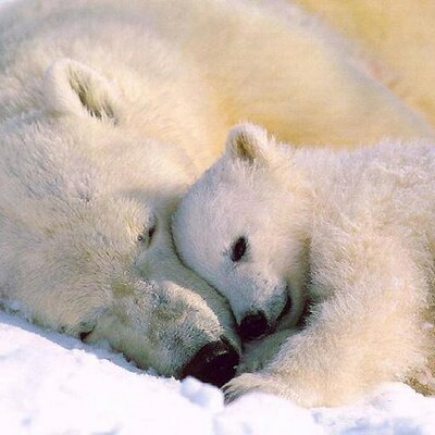 Profile Picture of Janet Horrigan (@JanetHorrigan) on Twitter