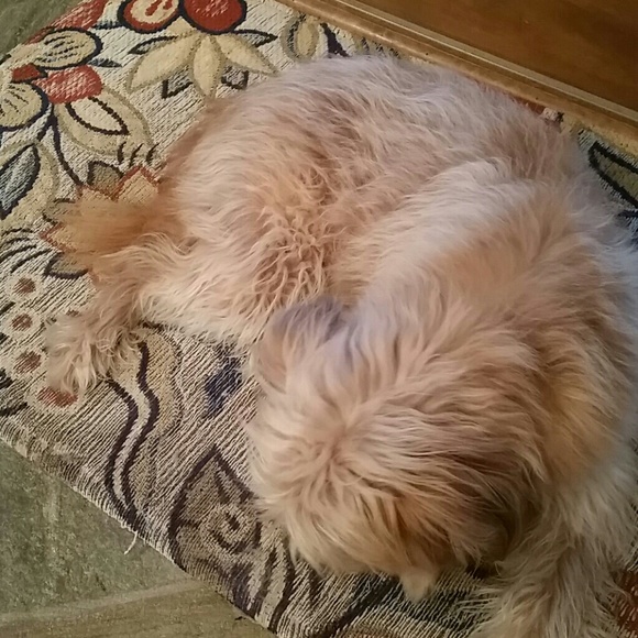 Profile Picture of Sandina Krlicevic (@krlicevic) on Poshmark