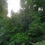 Profile Picture of Seth Rosenfeld (@gjfdiyfjygijyy) on Instagram