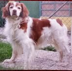 Deborah Bardelli - Facebook Profile Picture of Deborah Bardelli (@deborah.bardelli.7) on Facebook