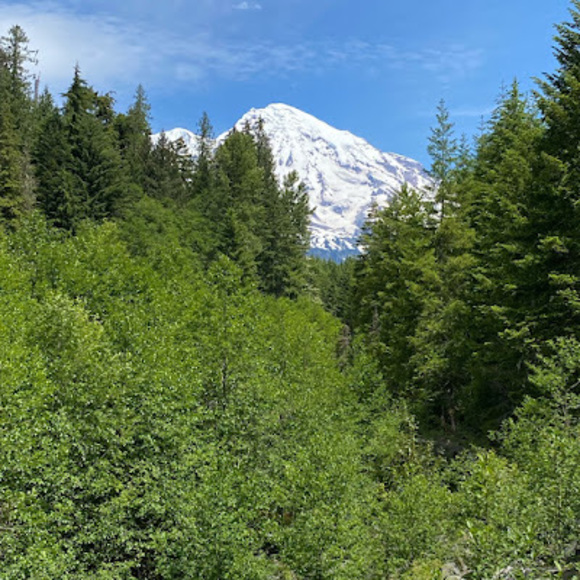 Profile Picture of Logan Hunsicker (@loganhunsicker) on Poshmark