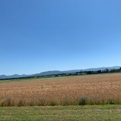 Profile Picture of Lisa Allman (@lisaallman0) on Tiktok