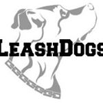 Profile Picture of Joel Sas Güell (@leashdogs) on Instagram