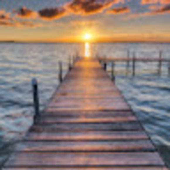 Sophia Okken - Poshmark Profile Picture of Sophia Okken (@viokken) on Poshmark