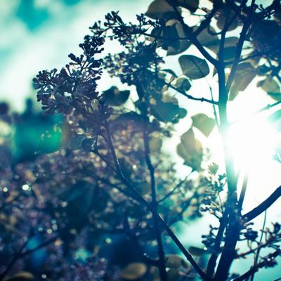 Profile Picture of John Manuel Chirinos (@jjmanue3) on Twitter