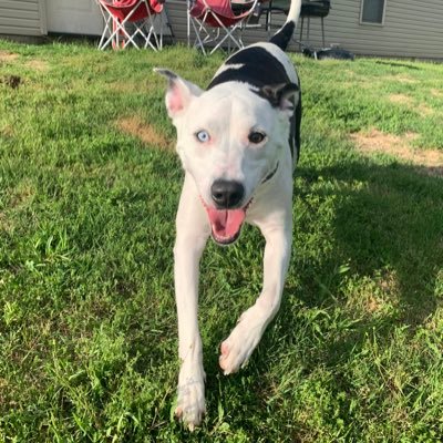 Profile Picture of Matt Boyette (@mattb0303) on Twitter