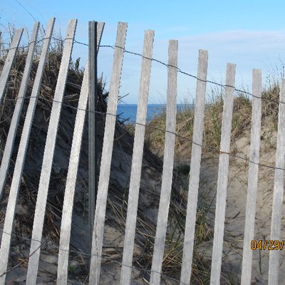 Pam Mogilnicki - Twitter Profile Picture of Pam Mogilnicki (@pgm112) on Twitter