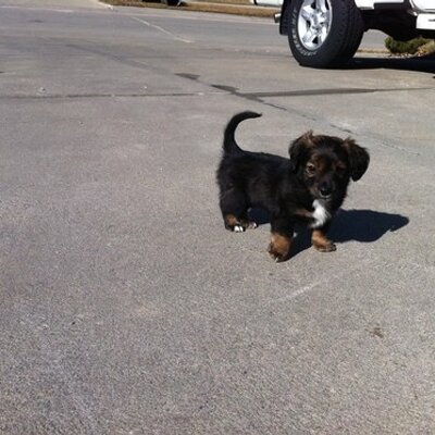 Profile Picture of Joni Huffman (@jonijh) on Twitter