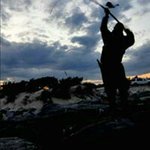 Profile Picture of James Nieberg (@jamesnieberg) on Instagram