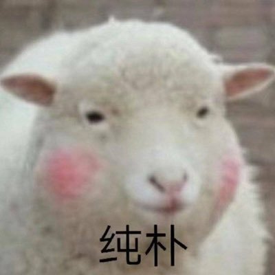 Kathkk - Twitter Profile Picture of Kathkk (@KatherineXie3) on Twitter