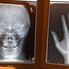 wbryancastleberry - Tiktok Profile Picture of wbryancastleberry (@wbryancastleberry) on Tiktok