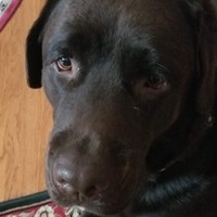 Profile Picture of Kevin Braza (@kevin-braza-1) on Quora