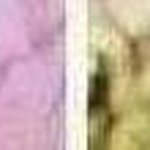 Profile Picture of Robyn Freeman (@robyn_freemanj) on Instagram