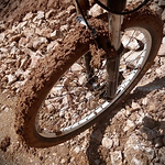 Profile Picture of Mihaila Bogdan (@scârba) on Flickr