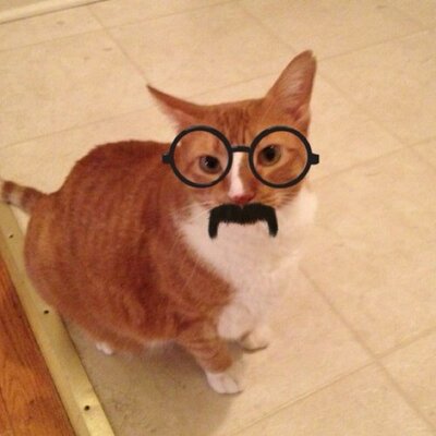 Profile Picture of Adam Lipkin (@AdamLipkin) on Twitter