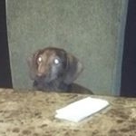 Profile Picture of rita binder (@ybfilq) on Instagram