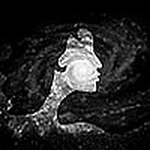 Profile Picture of Exaktafem (@Exaktafem) on Flickr