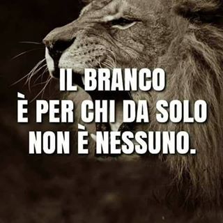 Profile Picture of Paolo Di Tullio (@Paolo-Di-Tullio) on Facebook