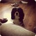 Profile Picture of Jay Batchelor (@jay.batchelor.146) on Facebook