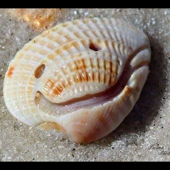 Profile Picture of Heather lowe 🏝 (@loweha) on Poshmark