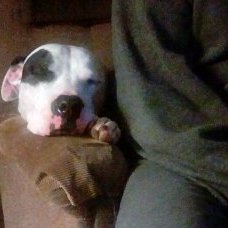 Profile Picture of Jo Holman (@JoHolman15) on Twitter