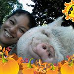 Profile Picture of Marion Blatty (@maid.marion71) on Instagram