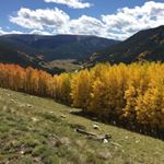 Profile Picture of Travis Wallace (@travis.wallace.524381) on Instagram