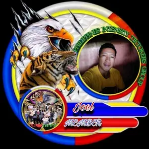 Joel Cardosa - Tiktok Profile Picture of Joel Cardosa (@joelcardosa) on Tiktok