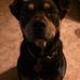 Profile Picture of James Stahler (@james.stahler.92) on Facebook