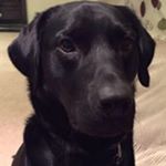 Profile Picture of Julia Baird (@baird4199) on Instagram