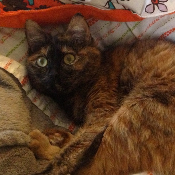 Profile Picture of Kimberly Powers (@kapowers84) on Poshmark