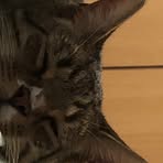 Ta'Lea Ferguson - Facebook Profile Picture of Ta'Lea Ferguson (@TaLea-Ferguson) on Facebook