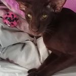 Profile Picture of Braunsteiner Maria (@braunsteiner.maria) on Instagram