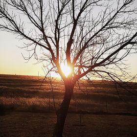 Profile Picture of Raegan Manning (@olof8900) on Pinterest