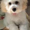 Profile Picture of Frank Bright (@@frankbright1) on Tiktok