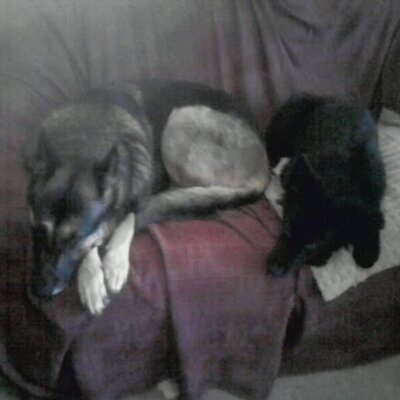 Profile Picture of Cameron Barwick (@CameronBarwick1) on Twitter