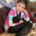 Profile Picture of Ela Lloyd-Bloom (@horses_and_ela) on Instagram