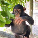 Profile Picture of Keegan Peter Yardley🍑 (@uncleyardley2) on Instagram