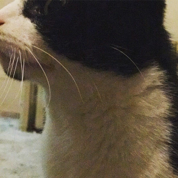 Profile Picture of Katelyn Linderman (@daisy234567) on Poshmark