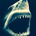 Profile Picture of Brendan Gaffney (@gaffy1229) on Pinterest