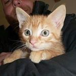 Profile Picture of michael.marello (@michael.marello) on Instagram