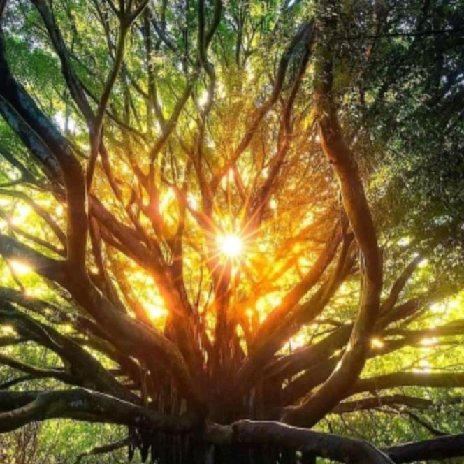 Profile Picture of Paul Kraft (@paulkraft) on Tiktok