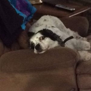 Profile Picture of Anthony Hoff (@anthonyhoff4945) on Twitter